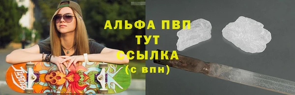 гашик Арсеньев