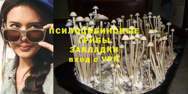 гашик Арсеньев