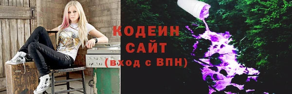 гашик Арсеньев