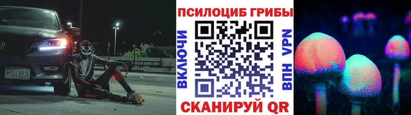 Псилоцибиновые грибы Cubensis мега ссылки Новокубанск закладки